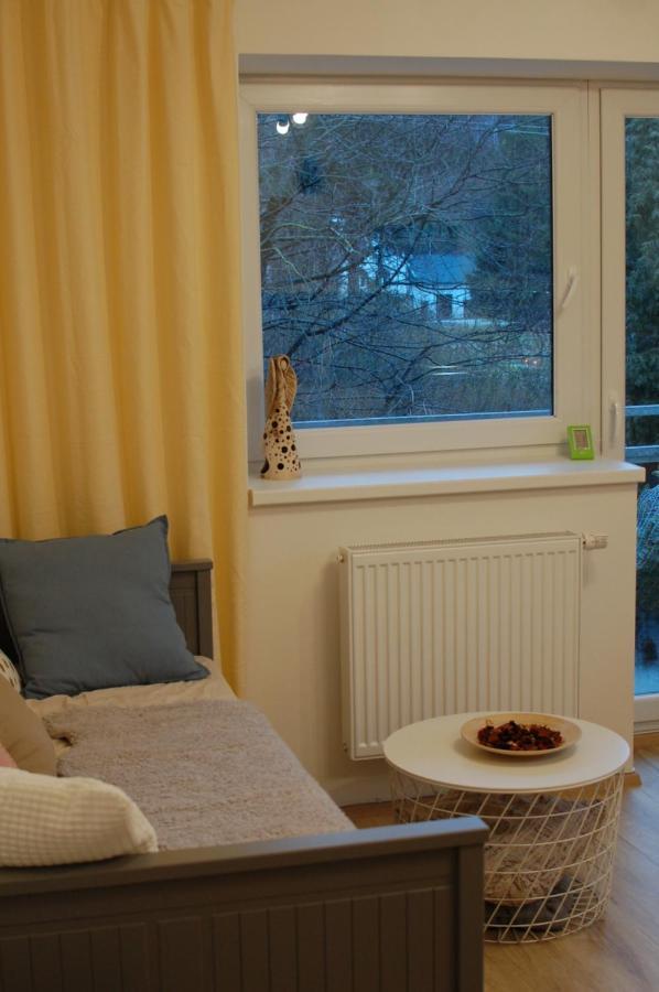 Apartman Masaryk Lipová-lázně Exterior foto